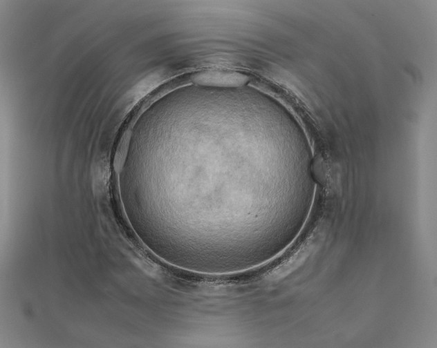 X0000112091065200908041445