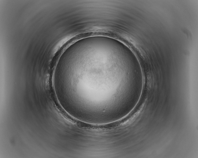 X0000112091066200908041445