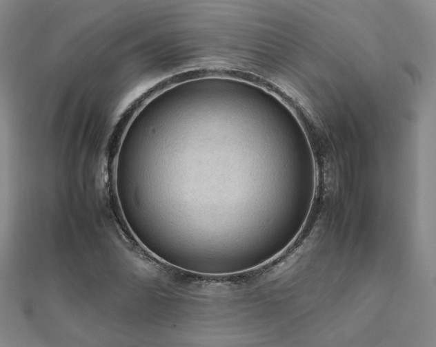 X0000112091070200908041445