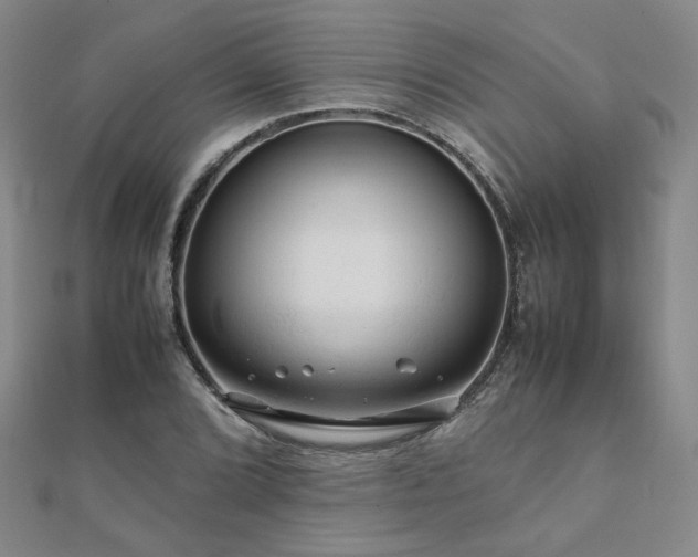 X0000112091072200908041445