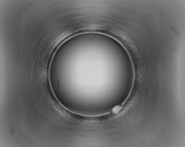 X0000112091073200908041445