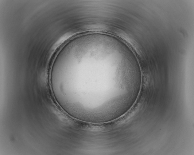 X0000112091074200908041445