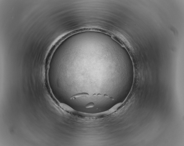 X0000112091076200908041445