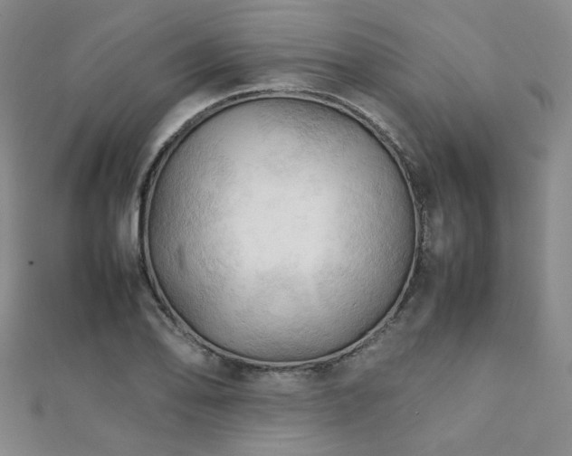 X0000112091078200908041445