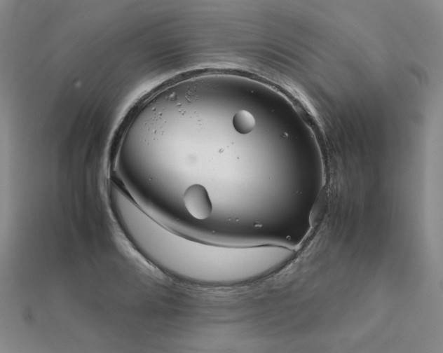 X0000112091080200908041445