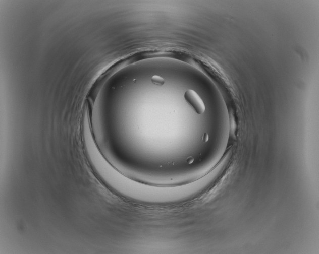 X0000112091081200908041445