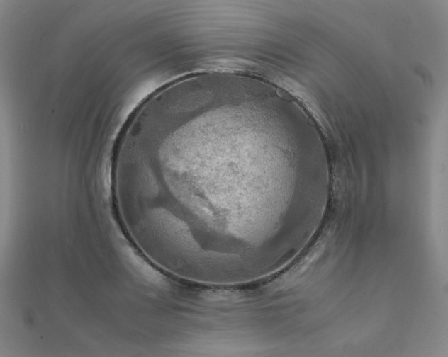 X0000112091083200908041445