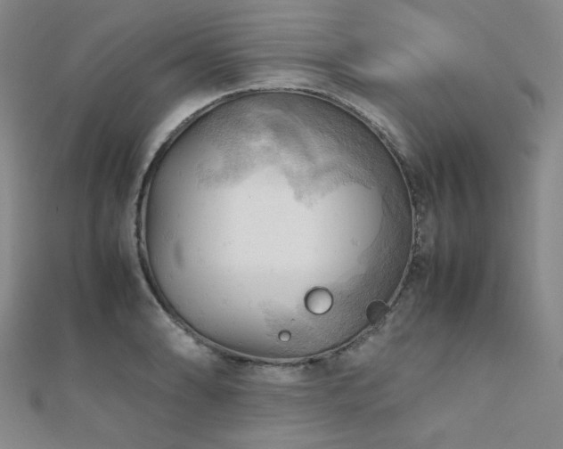 X0000112091086200908041445