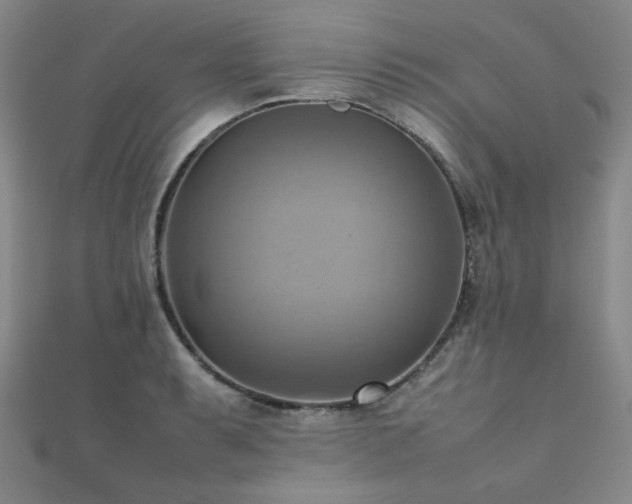 X0000112091087200908041445