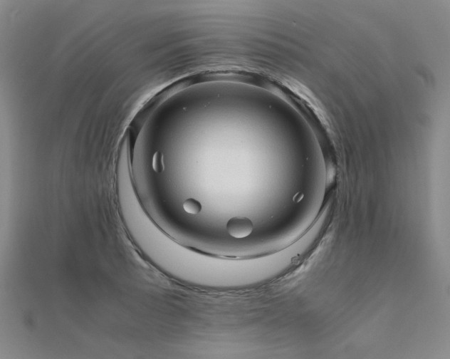 X0000112091089200908041445