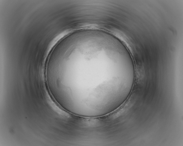 X0000112091090200908041445