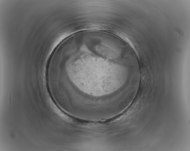 X0000112091091200908041445