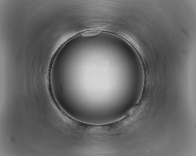X0000112091093200908041445