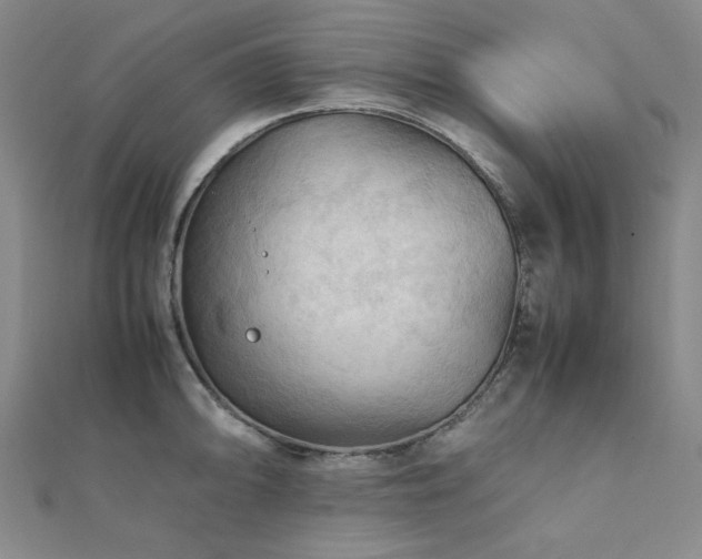 X0000112091094200908041445