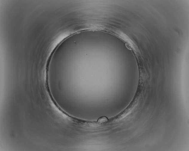 X0000112091095200908041445