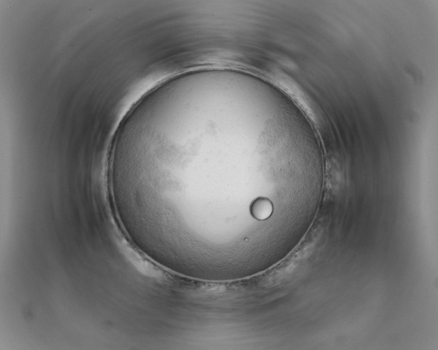 X0000112091098200908041445