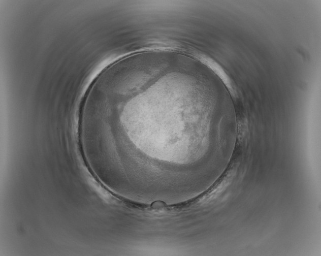 X0000112091099200908041445