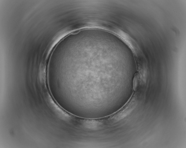 X0000112091100200908041445