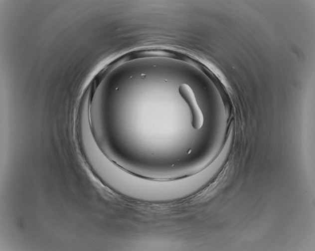 X0000112091101200908041445