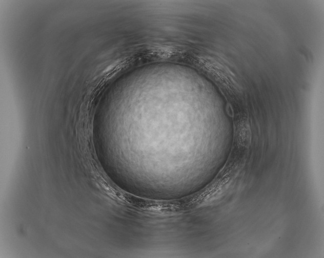 X0000112091105200908041444
