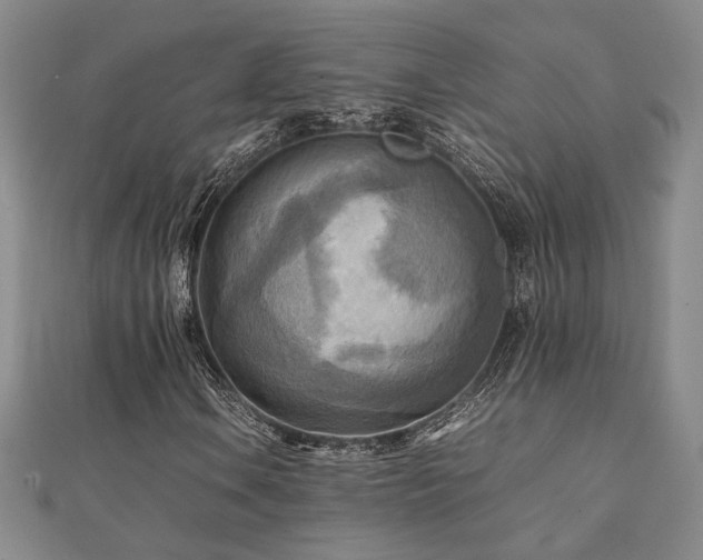 X0000112091106200908041444