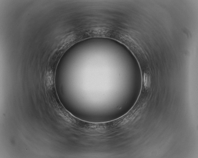 X0000112091107200908041444
