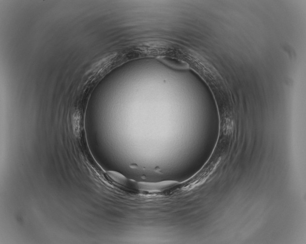 X0000112091108200908041444