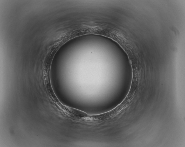 X0000112091109200908041444
