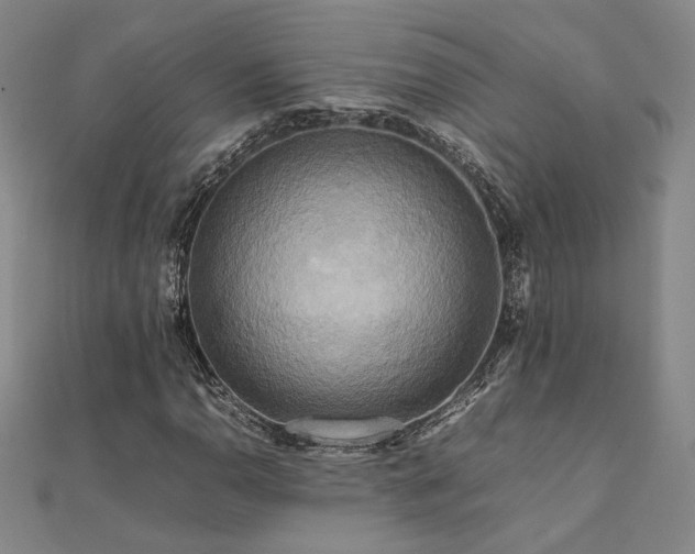 X0000112091110200908041444