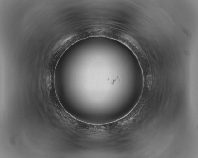 X0000112091111200908041444