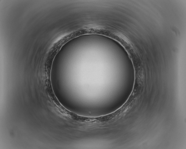 X0000112091112200908041444