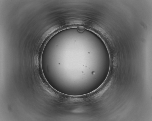 X0000112091113200908041444