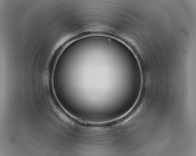 X0000112091114200908041444