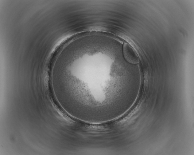 X0000112091115200908041444