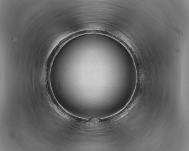 X0000112091116200908041444