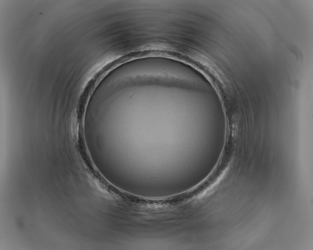 X0000112091117200908041444