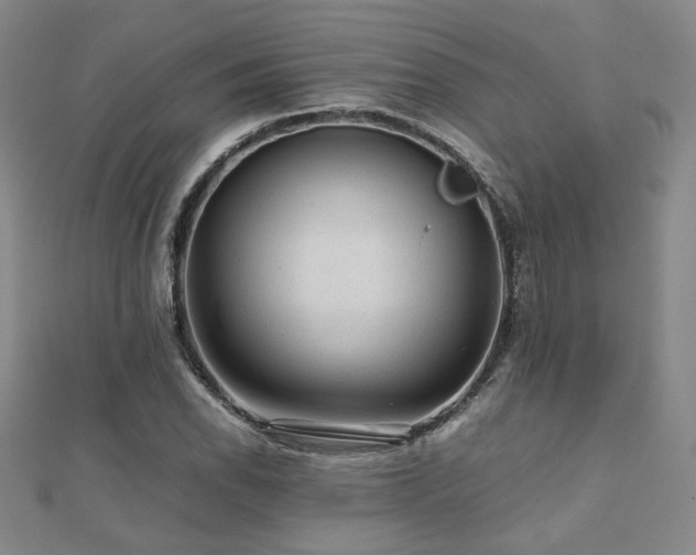 X0000112091118200908041444