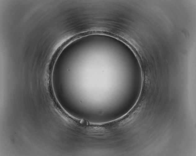 X0000112091119200908041444