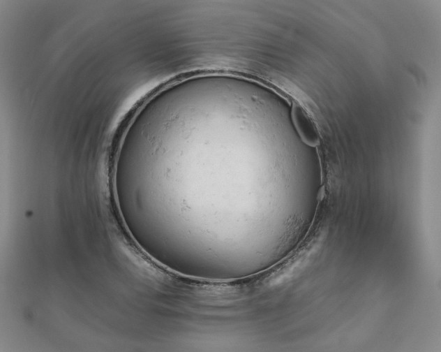 X0000112091120200908041444