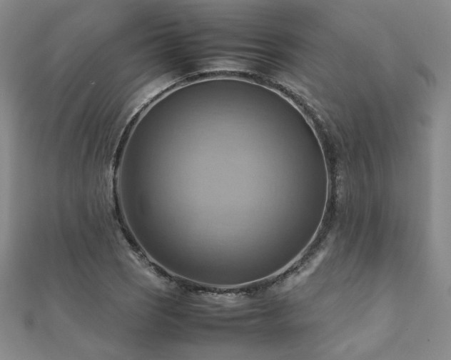 X0000112091121200908041444