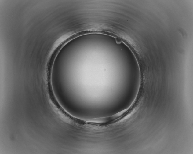 X0000112091122200908041444