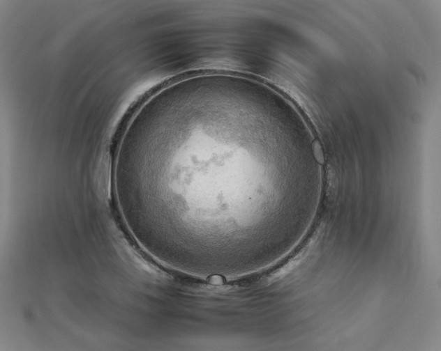 X0000112091123200908041444