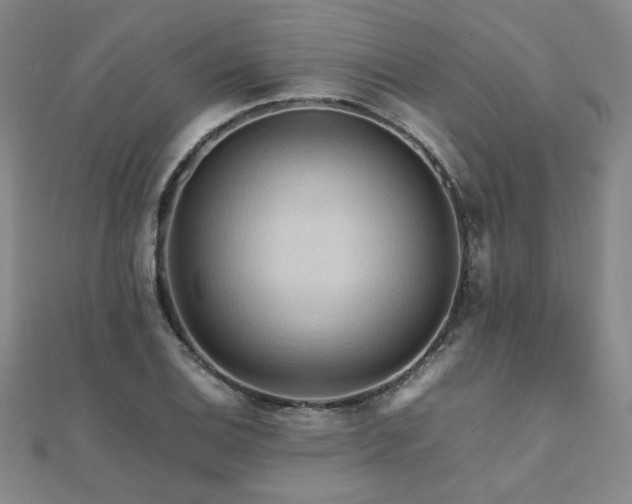 X0000112091124200908041444