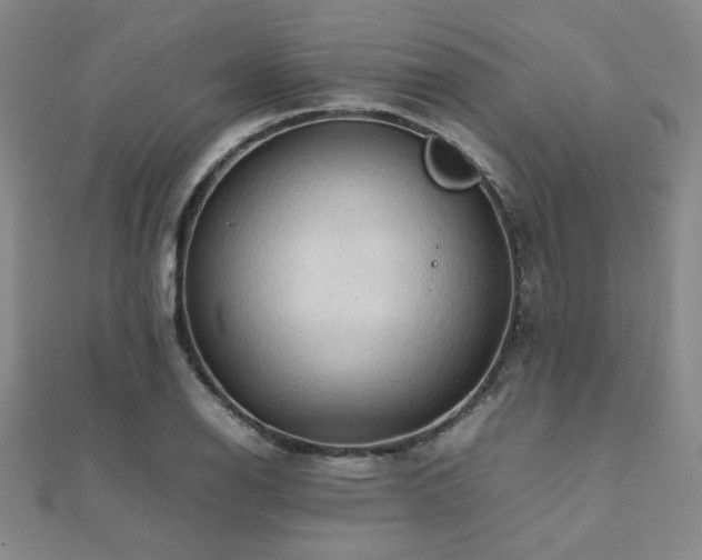 X0000112091126200908041444