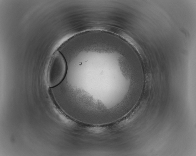 X0000112091127200908041444