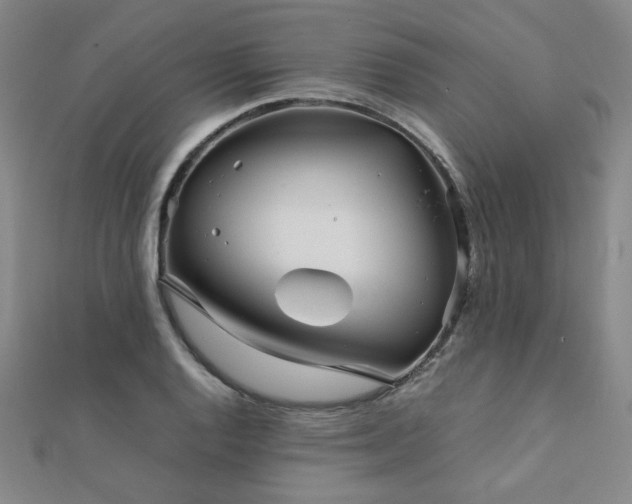 X0000112091128200908041445