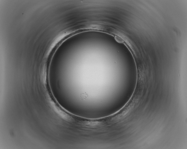 X0000112091131200908041445