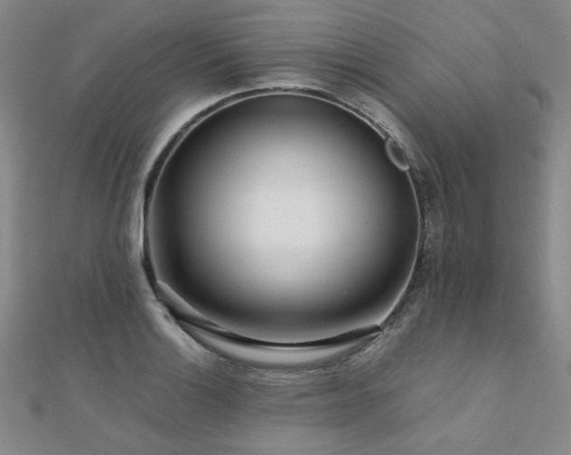X0000112091132200908041445