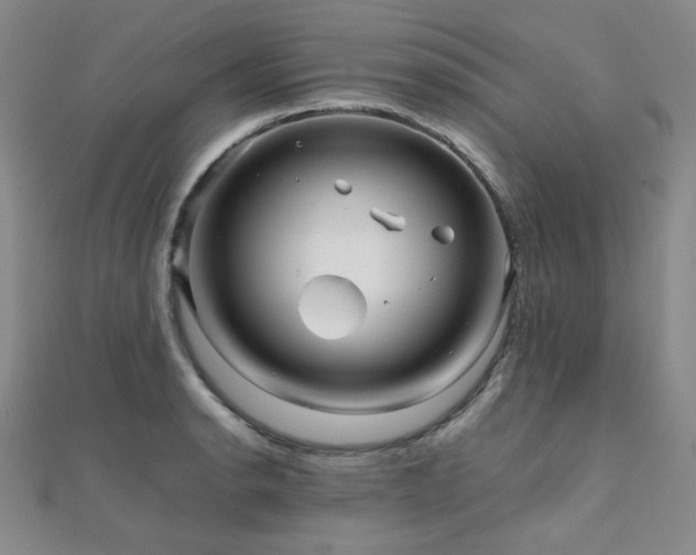 X0000112091134200908041445