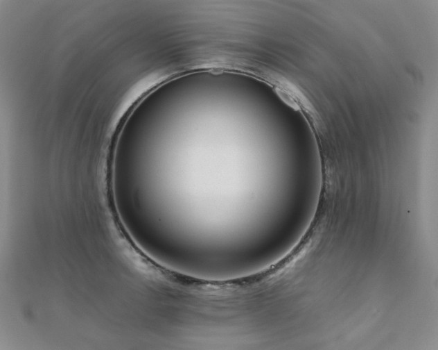 X0000112091138200908041445